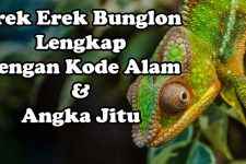 Erek Erek Bunglon Lengkap, Kode Alam Dan Angka Jitu