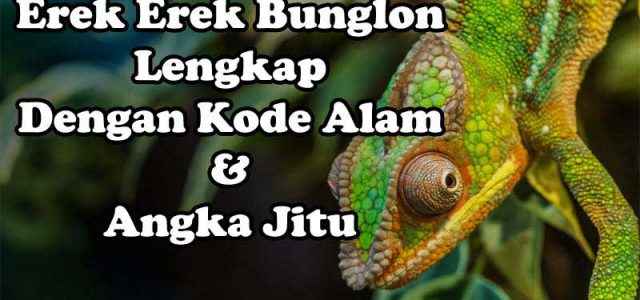 Erek Erek Bunglon Lengkap, Kode Alam Dan Angka Jitu