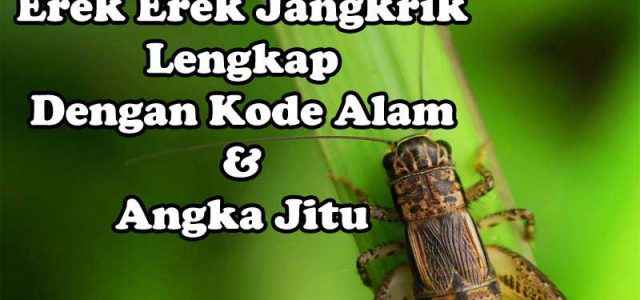 Erek Erek Jangkrik Lengkap, Kode Alam Dan Angka Jitu