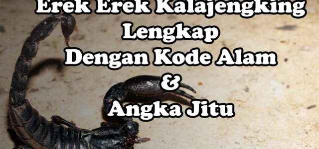 Erek Erek Kalajengking Lengkap, Kode Alam Dan Angka Jitu