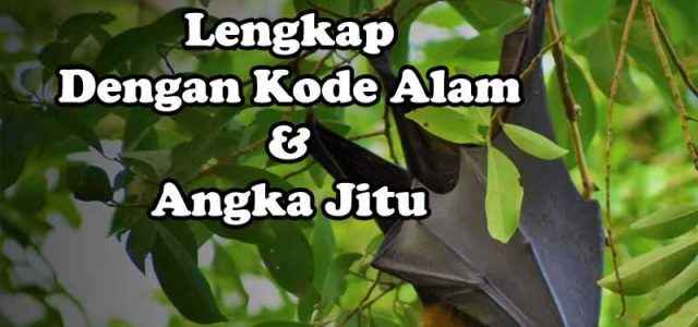 Erek Erek Kelelawar Lengkap, Kode Alam Dan Angka Jitu