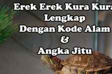 Erek Erek Kura Kura Lengkap, Kode Alam Dan Angka Jitu