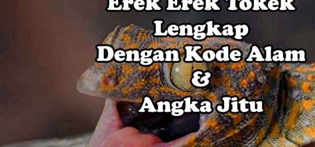 Erek Erek Tokek Lengkap, Kode Alam Dan Angka Jitu