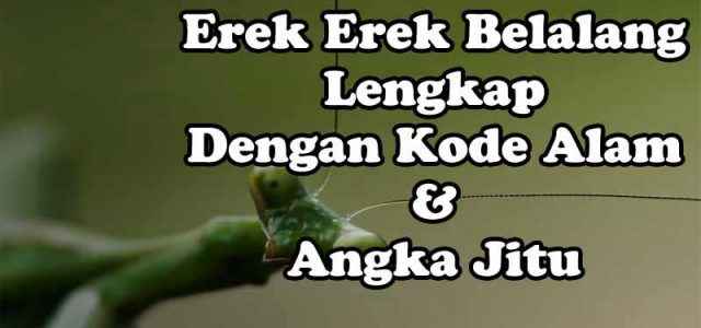 Erek Erek Belalang Lengkap, Kode Alam Dan Angka Jitu