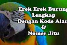 Erek Erek Mimpi Burung Lengkap, Kode Alam Dan Angka Jitu