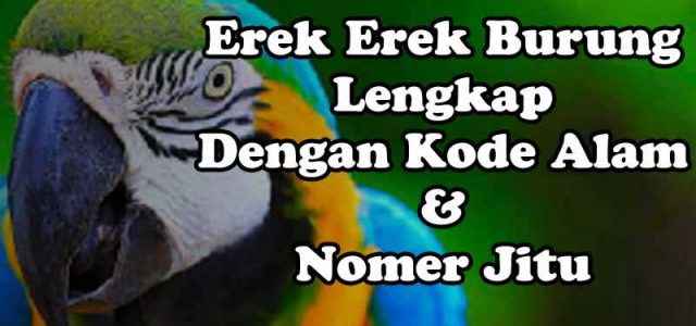 Erek Erek Mimpi Burung Lengkap, Kode Alam Dan Angka Jitu