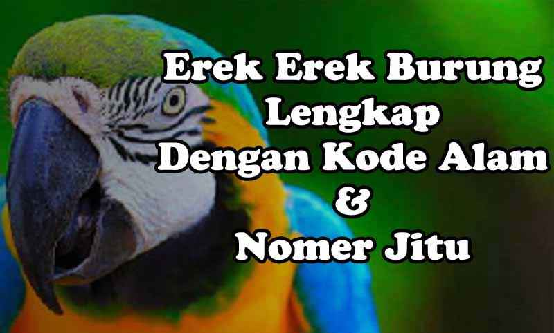 Erek Erek Mimpi Burung Lengkap Kode Alam Dan Angka Jitu Osg888