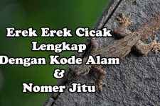 Erek Erek Mimpi Cicak Lengkap, Kode Alam Dan Angka Jitu