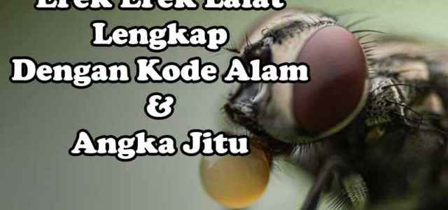 Erek Erek Mimpi Lalat, Kode Alam Dan Angka Jitu