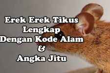 Erek Erek Mimpi Tikus Lengkap, Kode Alam Dan Angka Jitu