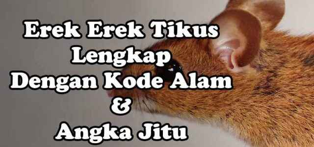 Erek Erek Mimpi Tikus Lengkap, Kode Alam Dan Angka Jitu